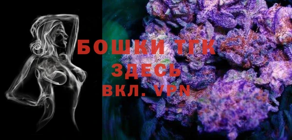 дмт Нестеровская