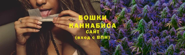 spice Фёдоровский