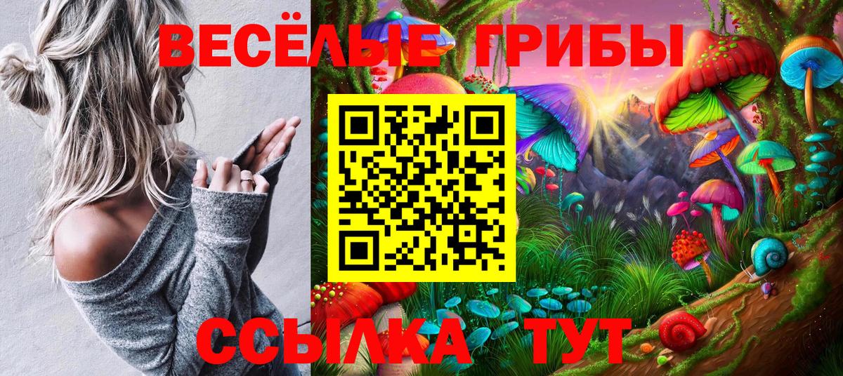 Галлюциногенные грибы мицелий Калининград